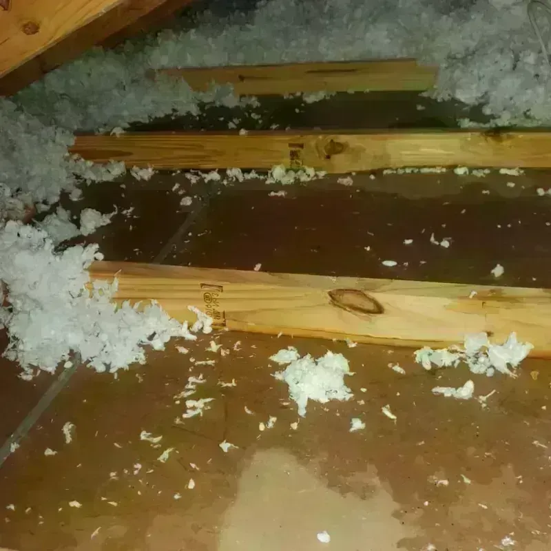 Attic Water Damage in Dallas, NC