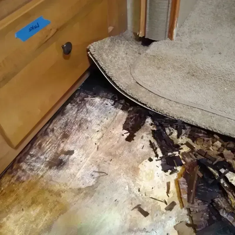 Wood Floor Water Damage in Dallas, NC